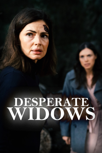 desperate-widows-poster-2000x3000